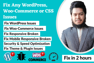 fix wordpress issues or bugs, woocommerce errors or CSS problems within 2h
