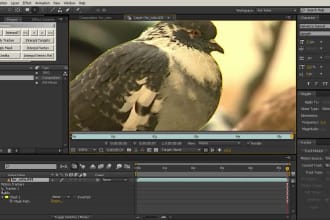 not disappoint you by editing amvs videos design etc