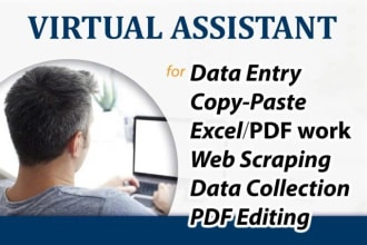 do data entry in word press job for 2 hours
