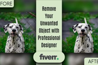 remove any object or person from your photo