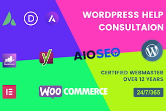 be wordpress consultant for wp seo maintenance, wordpress help, wp tech support