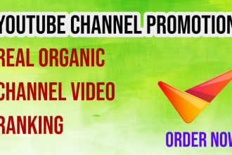 do real organic youtube video promotion according to yt policy