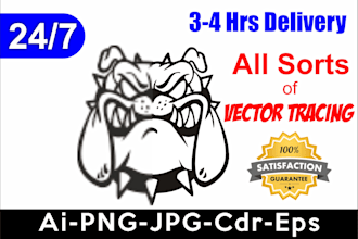 trace, vectorize or edit your logo professionally