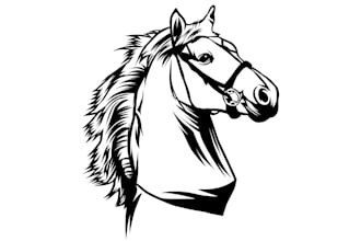 draw your cat,dog,pet animal black and white lineart in 5hrs