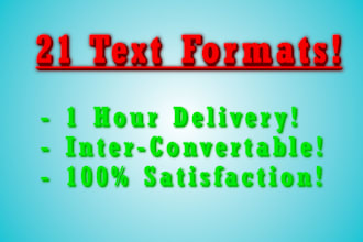 convert csv to excel or any other format