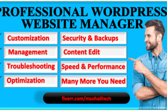 manage, maintain, keep your wordpress website updated and edit it