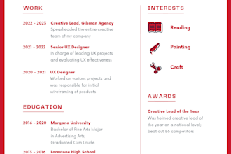 create and write a world class cv and resume for you