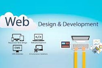 develop responsive all type of websites