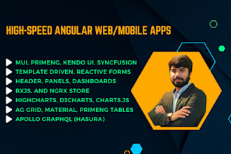 develop high performing web pages in angular js, 2, 12, 13, 14, 15, and 16