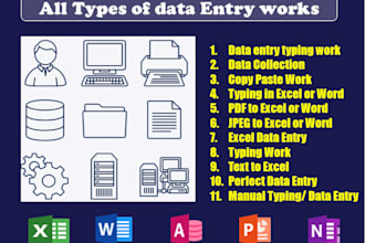 be your virtual assistant for data entry typing work and file conversion