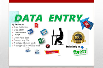 fast data entry worker