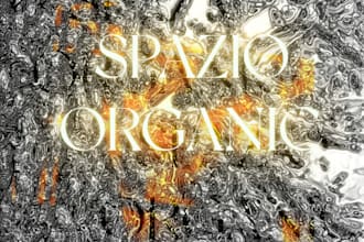 design your music artwork in a visionary way