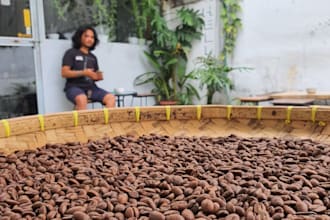 provide indonesian coffee beans