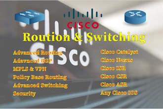 configure and troubleshoot your cisco routers and switches