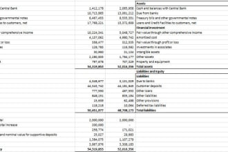 provide financial analysis, project report, ratio analysis