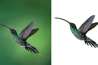 remove the background of your products for amazon, ebay, ali express, draz, etc