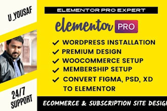 design premium elementor website in wordpress