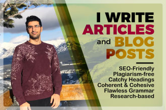 write high quality SEO optimized articles and blog posts