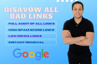 audit and disavow bad links for google penalty removal