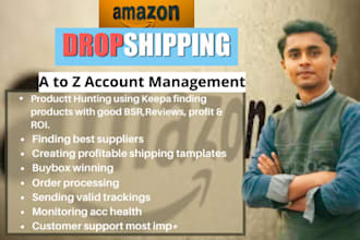 professionally manage your amazon dropshipping store