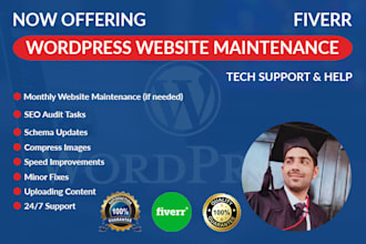 maintain your wordpress website and perform SEO audits