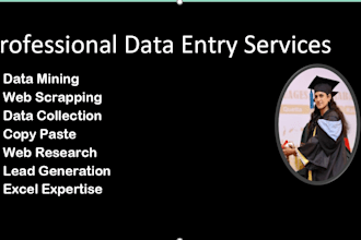 do excel data entry  data mining web scraping lead generation