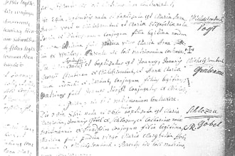 translate latin documents for you