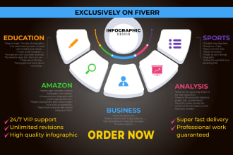 be your professional infographic designer for your  business