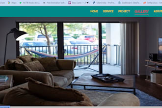 professional web designer and developer