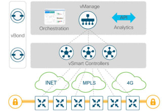 setup sdwan lab in eve ng
