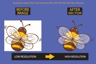 vectorize your logo, convert image to vector ai,png, jpg