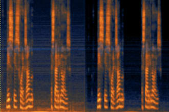 clean your recording or voice over from static noise, clicks pops, room sounds