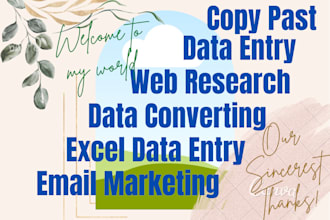 do excel data entry, typing, data converting as professional