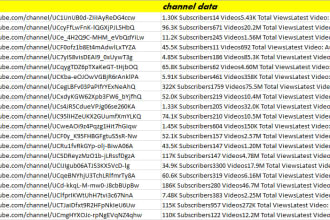 youtube influencer research on the base of your niche