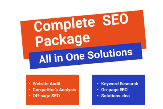 deliver a professional SEO audit report and a strategy for improving your google