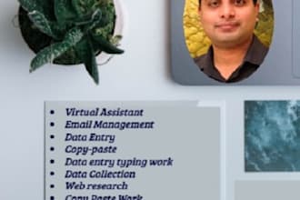 be your data entry assistant to save your precious time