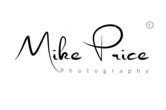 create photography signature logo or watermark