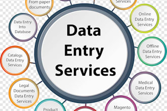 do data entry in excel, spreadsheet, office and power point