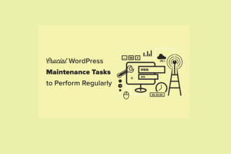 provide monthly wordpress maintenance, support and tech help