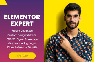 be your elementor expert for websites by elementor pro