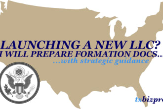 prepare llc formation docs with strategic guidance