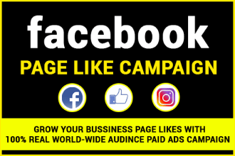 create a facebook ad campaign to grow your page likes