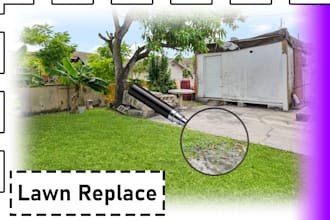 lawn and grass replacement