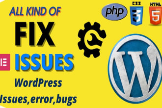 fix wordpress issues, wordpress errors, wordpress bugs, css, provide wp help