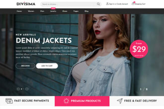 build a clothing and fashion wordpress store or website