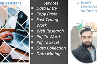 do excel data entry, web search, copy paste, virtual asistance,excel, word ,