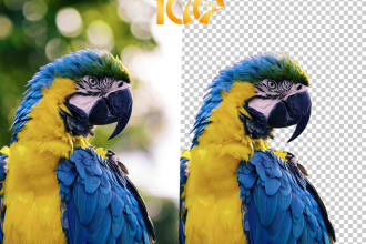 photos background removal and crop image