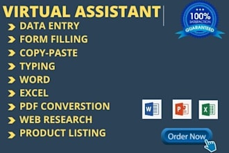 be your virtual assistant for data entry word excel web research typing