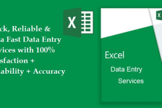 do extra fast ms excel data entry and copy paste jobs