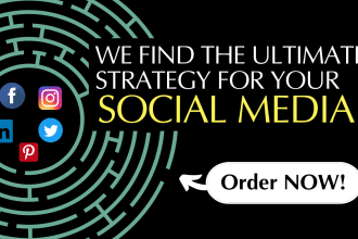 social media manager, content creator and canva expert